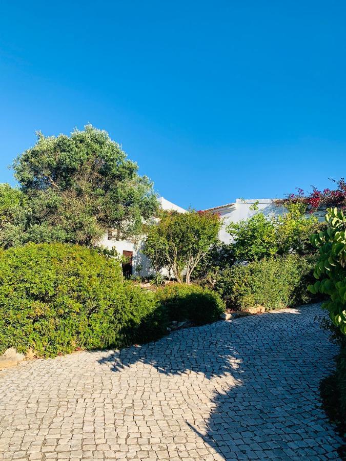 Dona Maria 66 Villa Luz Dış mekan fotoğraf
