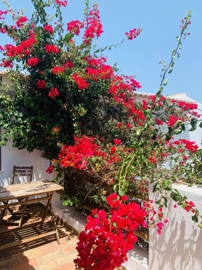 Dona Maria 66 Villa Luz Dış mekan fotoğraf